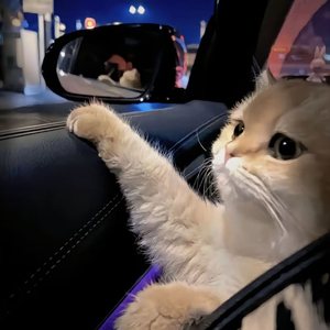 老师开裆黑丝自慰喷水
