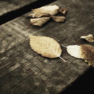 老师开裆黑丝自慰喷水
